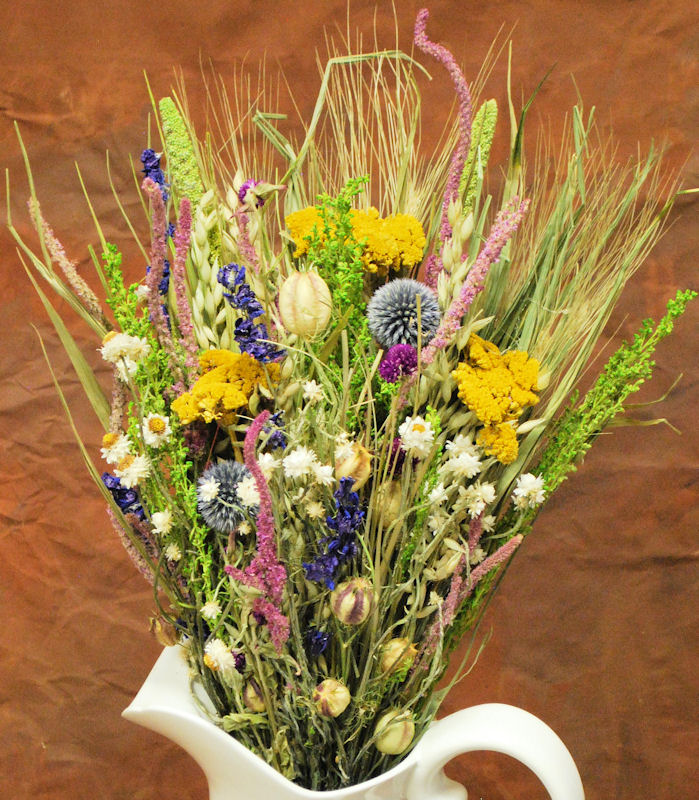 Dried Flowers Manufacturer Supplier Wholesale Exporter Importer Buyer Trader Retailer in Calcutta West Bengal India